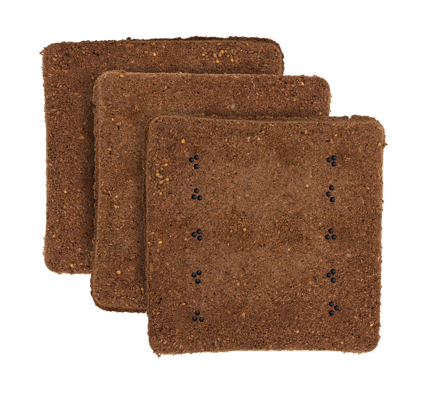 Arugula 3-Pack for Roto Farm