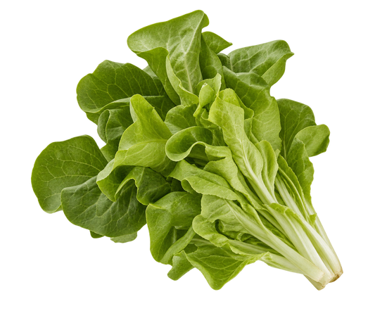 Lettuce