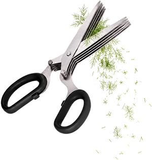 Dicing Scissors